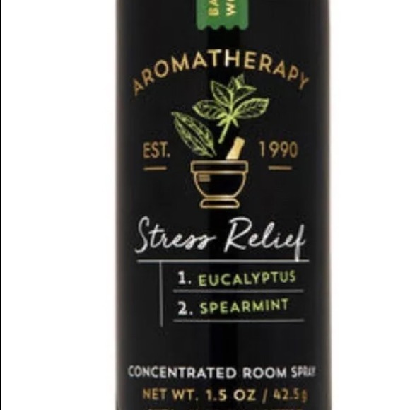 BBW STRESS RELIEF EUCALYPTUS SPEARMINT3 Room Spray - Picture 3 of 3